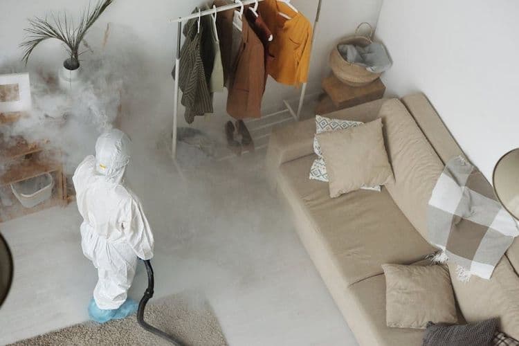 choosing the right pest control and fumigation service